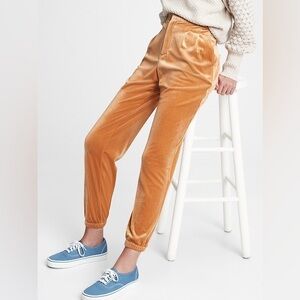 Women's golden oak orange velvet gap jogger Pants sz 12